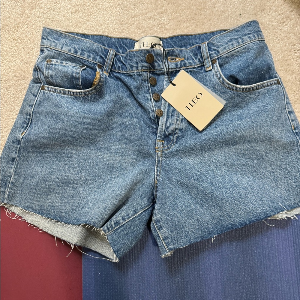 NWT New With Tags NYX Theo Denim Shorts Size 29
